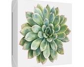 Green Echeveria Succulent Botanical Art Classic Stretched Canvas | Floral Wall Decor, detail view (Bill Shew)