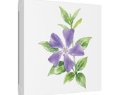 Purple Periwinkle Botanical Watercolor Flower Art | Vinca Floral Wall Decor, framing detail (Bill Shew)