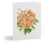 8 cards - Peach Ixora Botanical Watercolor Greeting Card, Coral Floral Illustration by Bill Shew