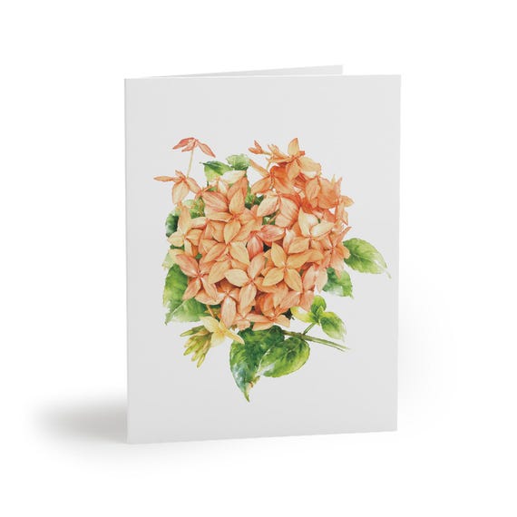 8 cards - Peach Ixora Botanical Watercolor Greeting Card, Coral Floral Illustration by Bill Shew