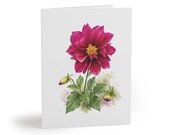 Dahlia Watercolor Greeting Card – Magenta Floral Botanical Art (8 Cards), Bill Shew note card set
