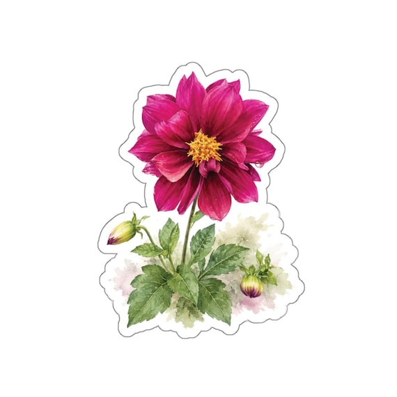 Magenta Dahlia Sticker, Dahlia Flower Die Cut Sticker, Botanical Floral Sticker by Bill Shew