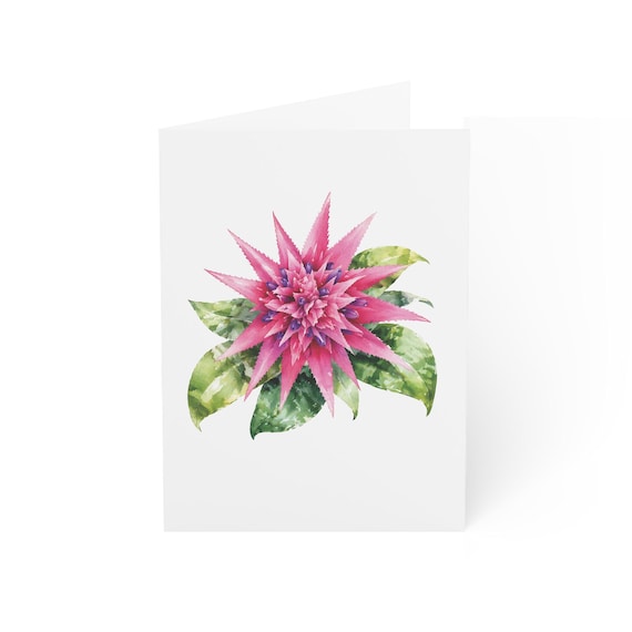 Pink Tropical Flower Greeting Card, Botanical Digital Art Print, Blank Inside for Any Occasion, Bill Shew wall art print