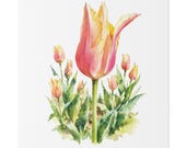 Pink Orange Tulip Botanical Art Classic Stretched Canvas | Floral Wall Decor, close-up (Bill Shew)