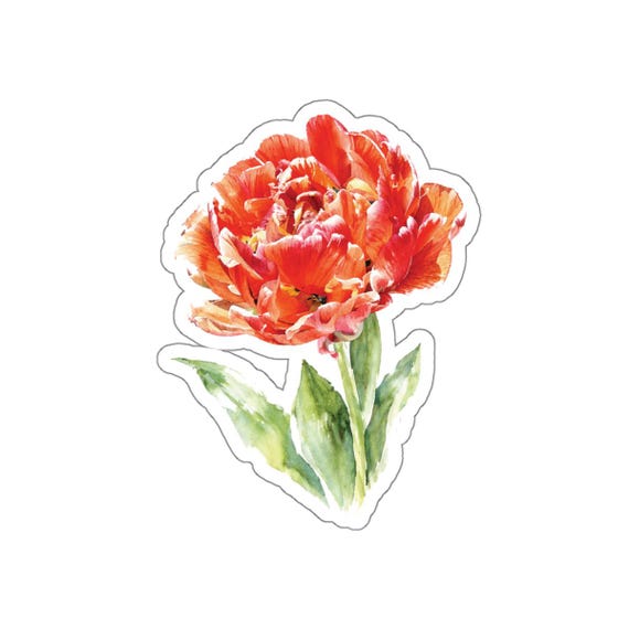Fancy Double Tulip Sticker, Orange Tulip Flower Sticker, Watercolor Tulip Sticker by Bill Shew