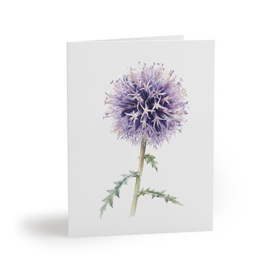 8 cards - Purple Globe Thistle Watercolor Card, Botanical Flower Illustration by Bill Shew