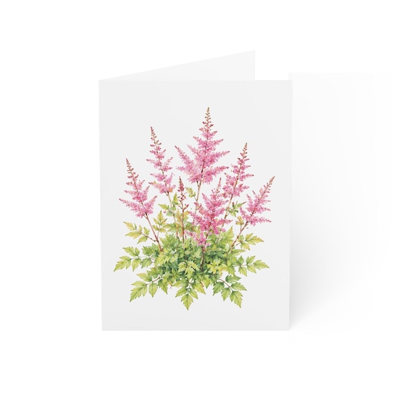 Pink Astilbe Greeting Card, Digital Art Print, Botanical Card, Blank Inside for Any Occasion, Bill Shew wall art print