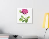 Magenta Rose Botanical Art Classic Stretched Canvas | Floral Wall Decor, detail view (Bill Shew)