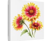 Red Yellow Blanket Flower Botanical Art Classic Stretched Canvas | Floral Wall Decor, framing detail (Bill Shew)