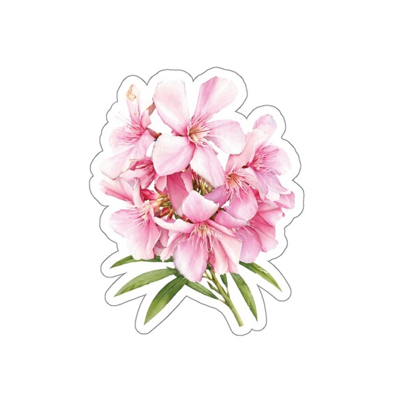 Pink Oleander Sticker, Oleander Flower Sticker, Pink Botanical Floral Sticker by Bill Shew