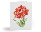 Orange Red Double Tulip Greeting Card – Botanical Watercolor Art (Pack of 8) by Bill Shew
