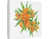 Orange Butterfly Weed Botanical Art Classic Stretched Canvas | Wildflower Wall Decor, framing detail (Bill Shew)