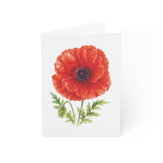 Red Poppy Flower Greeting Card, Bold Botanical Digital Art Print, Botanical Card, Blank Inside for Any Occasion, Bill Shew wall art print