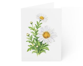 Shasta Daisy Greeting Card, White Daisy Digital Art Print, Botanical Card, Blank Inside for Any Occasion.