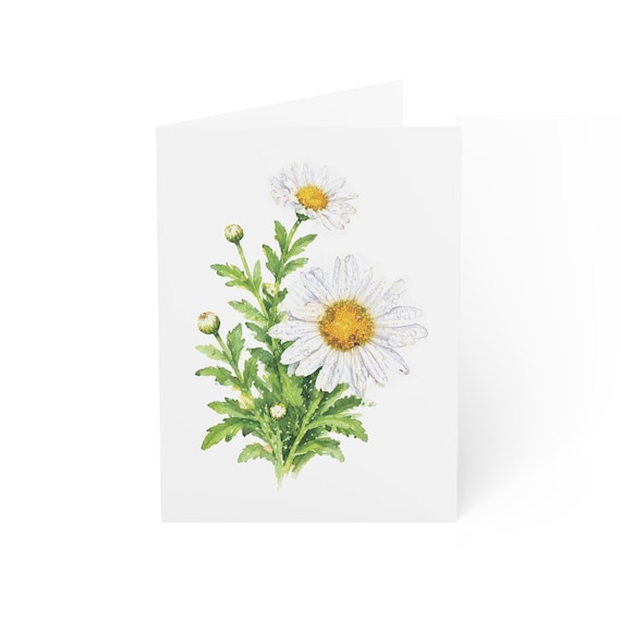 Shasta Daisy Greeting Card, White Daisy Digital Art Print, Botanical Card, Blank Inside for Any Occasion., Bill Shew wall art print