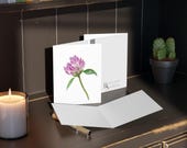 Purple Clover Watercolor Card – Trifolium Pratense Botanical Art (8 Pack), alternate view (Bill Shew)