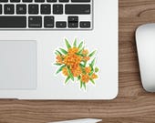Orange Butterfly Weed Sticker, Asclepias Tuberosa Floral Sticker, Botanical Flower Sticker, detail view (Bill Shew)