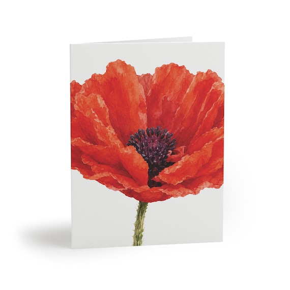 Watercolor Red Poppy Greeting Card, Botanical Flower Art (Pack of 8, 16, or 24) Watercolor Red Poppy Greeting Card, Botanical Flower Art (Pack of 8, 16, or 24) by Bill Shew