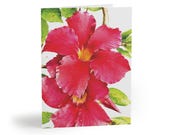 Red Mandevilla Watercolor Greeting Card, Tropical Floral Art, Blank Note Card by Bill Shew