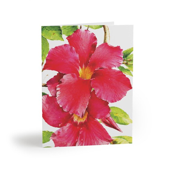 Red Mandevilla Watercolor Greeting Card, Tropical Floral Art, Blank Note Card Red Mandevilla Watercolor Greeting Card, Tropical Floral Art, Blank Note Card by Bill Shew