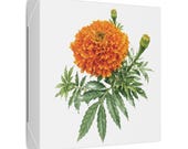 Orange Marigold Botanical Art Classic Stretched Canvas | Floral Garden Wall Decor, detail view (Bill Shew)