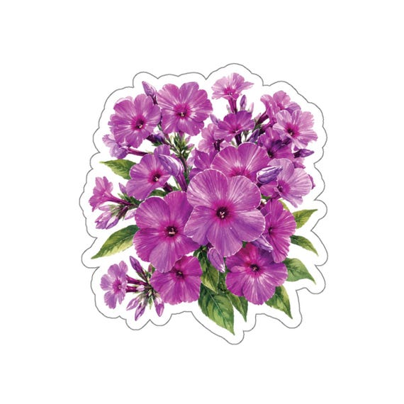 Purple Phlox Sticker, Garden Phlox Flower Sticker, Purple Floral Die Cut Sticker by Bill Shew