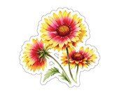 Gaillardia Sticker, Blanket Flower Die Cut Sticker, Red Yellow Floral Sticker by Bill Shew