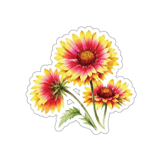 Gaillardia Sticker, Blanket Flower Die Cut Sticker, Red Yellow Floral Sticker by Bill Shew