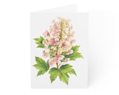 Oakleaf Hydrangea Card, Digital Art Print, Botanical Card, Blank Inside, Bill Shew wall art print
