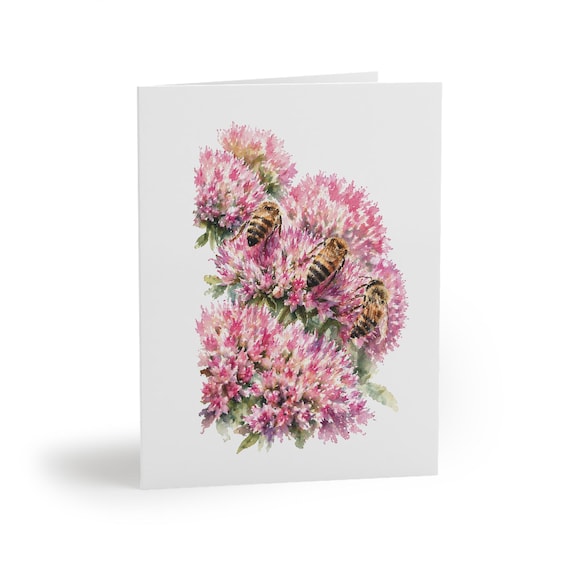 8 cards - Pink Sedum Blossoms with Bees Watercolor Card by Bill Shew