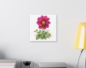 Magenta Dahlia Botanical Art Classic Stretched Canvas | Floral Wall Decor, detail view (Bill Shew)