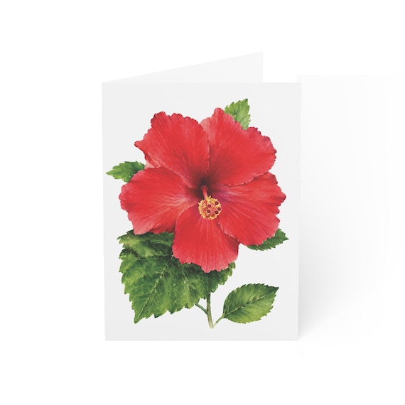 Red Hibiscus Greeting Card, Digital Art Print, Botanical Card, Blank Inside, Bill Shew wall art print