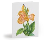 Watercolor Canna Lily Greeting Card, Yellow Orange Floral Botanical Note Card (Pack of 8 by Bill Shew