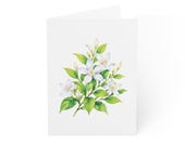 Orange Blossom Card, Digital Art Print, Botanical Card, Blank Inside, Bill Shew wall art print
