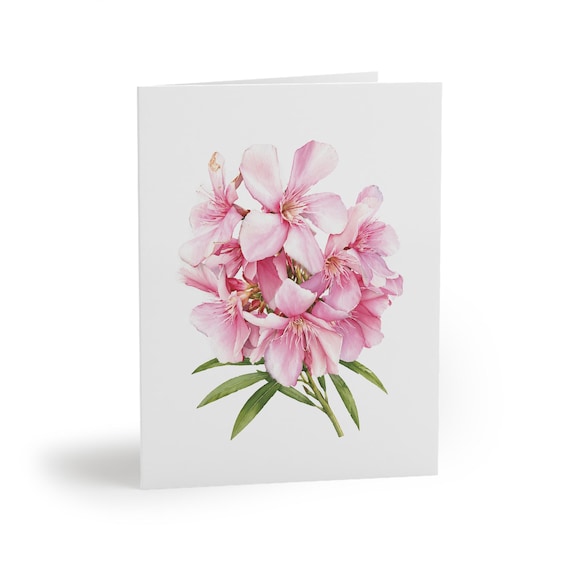 8 cards - Pink Oleander Botanical Watercolor Greeting Card, Floral Note Card 8 cards - Pink Oleander Botanical Watercolor Greeting Card, Floral Note Card by Bill Shew