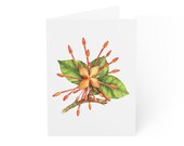 Ixora Flower Greeting Card, Digital Art Print, Botanical Card, Blank Inside, Bill Shew wall art print