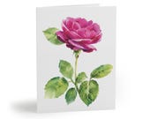 8 cards - Pink Rose Watercolor Card, Botanical Floral Note by Bill Shew