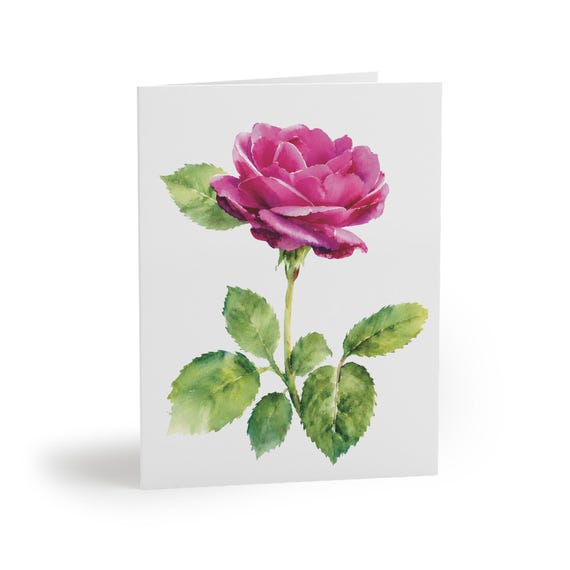 8 cards - Pink Rose Watercolor Card, Botanical Floral Note by Bill Shew