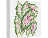 Pink Caladium Botanical Art Classic Stretched Canvas | Botanical Wall Decor, detail view (Bill Shew)