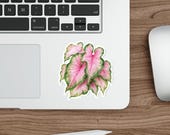 Pink Caladium Leaf Sticker, Tropical Botanical Die Cut, detail view (Bill Shew)