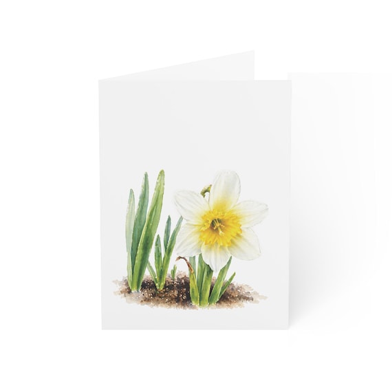 White Daffodil Greeting Card, Digital Art Print, Botanical Card, Blank Inside, Bill Shew wall art print