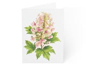 Oakleaf Hydrangea Card, Digital Art Print, Botanical Card, Blank Inside, Bill Shew wall art print