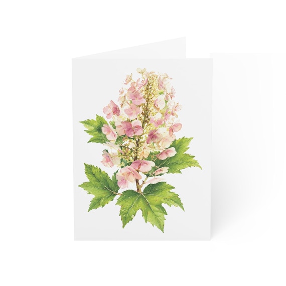 Oakleaf Hydrangea Card, Digital Art Print, Botanical Card, Blank Inside, Bill Shew wall art print
