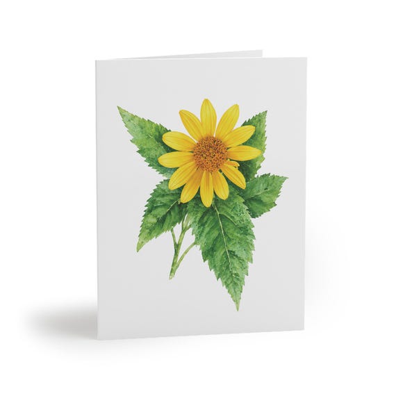 8 cards - False Sunflower Botanical Greeting Card, Watercolor Botanical Art Print (4.25" x 5.5") 8 cards - False Sunflower Botanical Greeting Card by Bill Shew