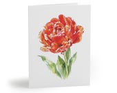 8 cards - Orange Parrot Tulip Watercolor Botanical Greeting Card, Spring Floral Note by Bill Shew