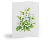 8 cards - White Star Jasmine Botanical Watercolor Greeting Card, Floral Note Card by Bill Shew