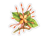 Orange Jatropha Flower Sticker, Peregrina Botanical Sticker, Tropical Floral Sticker by Bill Shew