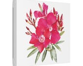 Pink Oleander Botanical Art Classic Stretched Canvas | Floral Wall Decor, framing detail (Bill Shew)
