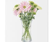 Pink Chrysanthemum Bouquet Botanical Art Classic Stretched Canvas, Bill Shew canvas print