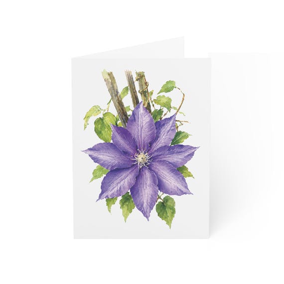 Purple Clematis Greeting Card, Digital Art Print, Botanical Card, Blank Inside, Bill Shew wall art print